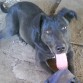 herrmooso♥♥